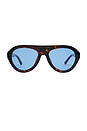 view 1 of 3 MADDY 선글라스 in Tort & Blue