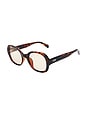 view 2 of 2 LUNETTES DE SOLEIL DARCY in Tort & Brown
