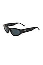 view 2 of 2 LUNETTES DE SOLEIL RACI in Black & Smoke