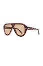 view 2 of 3 Cameron Sunglasses in Tort & Brown