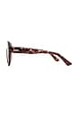 view 3 of 3 Cameron Sunglasses in Tort & Brown