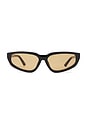view 1 of 3 Nikki Sunglasses in Black & Brown