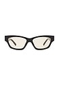 view 1 of 3 Eden Sunglasses in Black &Brown