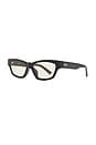 view 2 of 3 Eden Sunglasses in Black &Brown