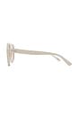 view 3 of 3 GAFAS DE SOL STEVIE in Vanilla & Brown