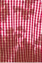 view 7 of 7 Picnic Ruched Ruffle Blouse in Red & White
