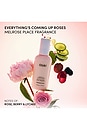view 5 of 8 APRÈS-SHAMPOING LEAVE IN LEAVE IN CONDITIONER in Melrose Place