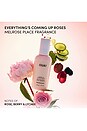view 5 of 8 APRÈS-SHAMPOING LEAVE IN TRAVEL SIZE LEAVE IN CONDITIONER in Melrose Place