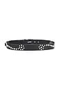 view 2 of 3 Star Fall Belt in Black Bridle