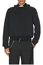 view 3 of 4 SWEAT À CAPUCHE RELIC in Pigment Black Hefty Fleece
