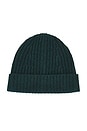 view 1 of 2 Reimagine Cashmere Beanie in Forest