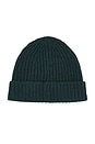 view 2 of 2 Reimagine Cashmere Beanie in Forest
