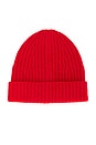 view 1 of 2 Reimagine Cashmere Beanie in Tomato