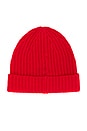 view 2 of 2 Reimagine Cashmere Beanie in Tomato