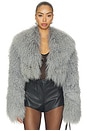 view 1 of 5 Celia Crop Fur Jacket in Grey