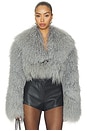 view 2 of 5 Celia Crop Fur Jacket in Grey