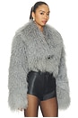 view 4 of 5 Celia Crop Fur Jacket in Grey