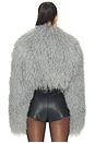 view 5 of 5 Celia Crop Fur Jacket in Grey