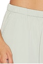 view 6 of 6 Lea Pant in Sage