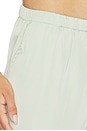 view 7 of 7 Lea Pant in Sage