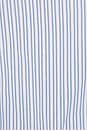 view 5 of 5 Eliza Shirt in Blue Stripe