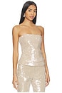 view 2 of 5 Ruby Sequin Tube Top in Tan