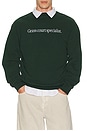 view 1 of 4 Specialist Crewneck in Forest Green