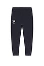 view 4 of 6 PANTALON SWEAT in Navy