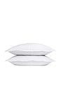 view 1 of 3 Brushed Cotton Sham Set in White