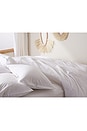 view 3 of 3 Brushed Cotton Sham Set in White