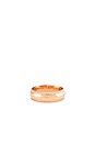 view 2 of 3 BAGUE GUILD in Gold