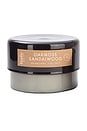 view 1 of 1 Botany Candle in Oakmoss Sandalwood