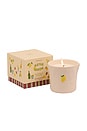 view 2 of 3 VELA BISTRO CANDLE in Meyer Lemon