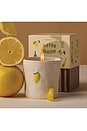 view 3 of 3 VELA BISTRO CANDLE in Meyer Lemon