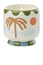 view 1 of 3 A Dopo Candle in Lush Palms