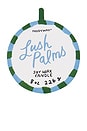 view 2 of 3 A Dopo Candle in Lush Palms
