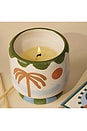 view 3 of 3 A Dopo Candle in Lush Palms