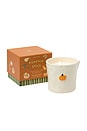 view 2 of 2 Bistro Candle in Pumpkin Spice