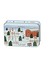 view 1 of 2 Holiday Tin Candle in Tabac & Pine