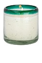 view 1 of 1 Cactus Flower Bamboo Candle in 