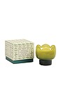view 1 of 2 Tulip Glass Candle in Verbena & Lemongrass