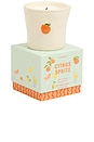 view 1 of 2 Bistro Boxed Ceramic Candle in Citrus Spritz