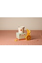 view 2 of 2 Bistro Boxed Ceramic Candle in Citrus Spritz