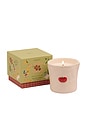 view 2 of 2 Bistro Candle in Heirloom Tomato