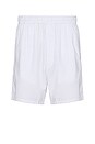 view 1 of 5 Teague Short in Hail Stripe