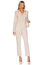 view 1 of 3 Blaire Utility Jumpsuit in Vintage Eros Rose