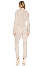 view 3 of 3 Blaire Utility Jumpsuit in Vintage Eros Rose