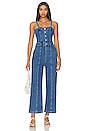 view 1 of 3 Anessa Jumpsuit in Delia