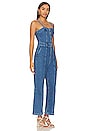 view 2 of 3 Anessa Jumpsuit in Delia