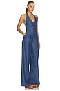 view 2 of 3 Marilyn Jumpsuit in Alhambra